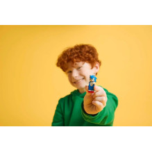 LEGO SONIC THE HEDGEHOG 77001 Sonic'o laužo kova