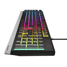 GENESIS Rhod 300 RGB keyboard Gaming USB QWERTY English Black