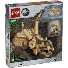 LEGO JURASSIC WORLD 76969 Dinozauro fosilijos: Triceratopso kaukolė
