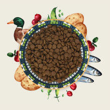 EDEN antis ir sardinės - sausas kačių ėdalas - 1,5 kg EDEN antis ir sardinės - sausas kačių ėdalas - 1,5 kg