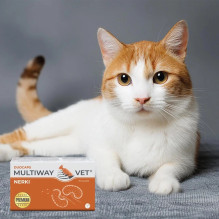JM SANTE Multiway Vet Duocaps Kidneys - twist-off capsules for kidneys for dogs and cats - 60 pcs