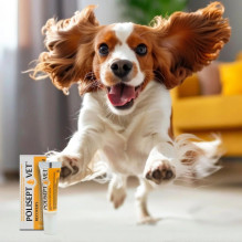 JM SANTE Polisept Vet Recovery - energy supplement for dogs and cats - 12 ml