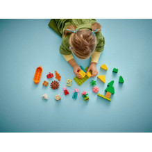 LEGO DUPLO 10452 Kempingo kelionė