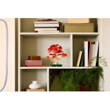 LEGO BOTANICALS 10348 Japoninio raudonojo klevo bonsai medelis