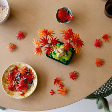 LEGO BOTANICALS 10348 Japanese Red Maple Bonsai Tree LEGO BOTANICALS 10348 Japanese Red Maple Bonsai Tree