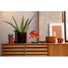 LEGO BOTANICALS 10348 Japanese Red Maple Bonsai Tree LEGO BOTANICALS 10348 Japanese Red Maple Bonsai Tree