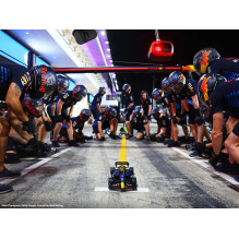 LEGO TECHNIC 42206 Oracle Red Bull Racing RB20