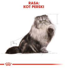 ROYAL CANIN Persian Adult - sausas kačių ėdalas - 2 kg