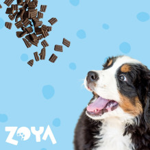 ZOYA ColdPRO Duck - dry dog food - 9kg