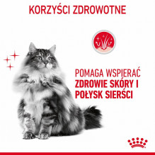 ROYAL CANIN Hair &amp; Skin Care - wet cat food - 12x85g