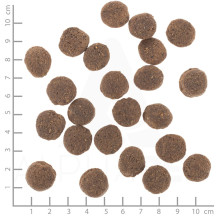 WOLFSBLUT VetLine Hypoallergenic Horse with sweet potatoes - dry dog food - 2kg WOLFSBLUT VetLine Hypoallergenic Horse with sweet potatoes - dry dog food - 2kg