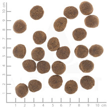 WOLFSBLUT VetLine virškinimo trakto antis - sausas šunų ėdalas - 2 kg