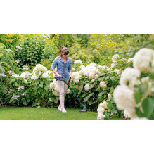 Bosch EasyGrassCut 06008C1C04 18V 26 cm cordless grass trimmer