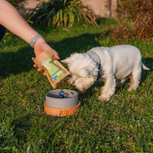 ANIMAL ISLAND sausas šunų ėdalas suaugusiems vidutinio dydžio šunims su lašiša, 12 kg