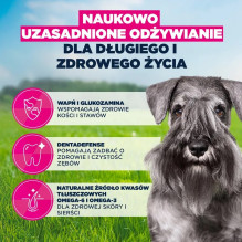 EUKANUBA Premium nutrition subrendusiems mažų veislių šunims – sausas vištienos ėdalas – 3 kg
