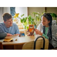 LEGO STAR WARS 75430 Evokų vartelis