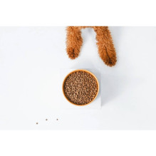 NATURE'S PROTECTION Superior Care Red Coat Adult Small breed Grain free Salmon - dry dog food - 10kg