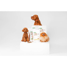 NATURE'S PROTECTION Superior Care Red Coat Adult Small Breed sausas šunų ėdalas be grūdų su lašiša, 10 kg