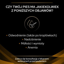 PURINA Pro Plan Veterinary Diets NF Renal Function - Wet dog food - 400 g