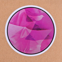 HP 15" Notebook Sleeve Rossignol Attraxion 633989-001