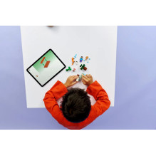 LEGO MINECRAFT 21583 Styvo taigos nuotykis