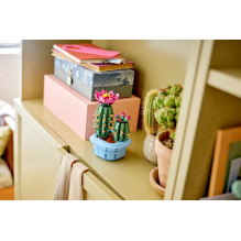 LEGO BOTANICALS 11509 Žydintis kaktusas