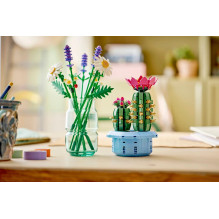 LEGO BOTANICALS 11509 Žydintis kaktusas