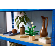 LEGO BOTANICALS 11504 Peace Lily LEGO BOTANICALS 11504 Peace Lily