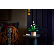 LEGO BOTANICALS 11504 Peace Lily LEGO BOTANICALS 11504 Peace Lily