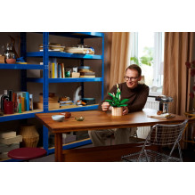 LEGO BOTANICALS 11504 Peace Lily LEGO BOTANICALS 11504 Peace Lily