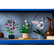 LEGO BOTANICALS 11504 Taikos lelija