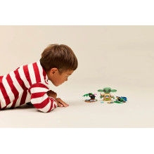 LEGO STAR WARS 75443 Grogu sodyba