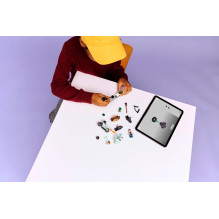 LEGO HARRY POTTER 76459 Hagrid and Harry's Privet Drive Escape