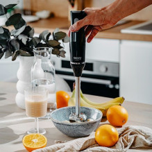 Camry CR 4630 Stabmixer schwarz, silber