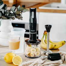 Camry CR 4630 Stabmixer schwarz, silber