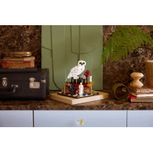 LEGO HARRY POTTER 76466 Išminties akmuo – kolekcinis leidimas LEGO HARRY POTTER 76466 Išminties akmuo – kolekcinis leidimas