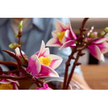 LEGO BOTANICALS 11510 Magnolijų šakos