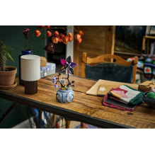 LEGO DISNEY 43288 Salės vazonas LEGO DISNEY 43288 Salės vazonas