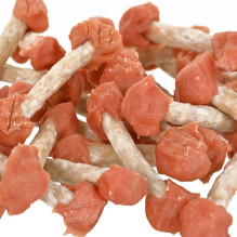 PETITTO vištienos kubeliai - šunų skanėstas - 500 g PETITTO vištienos kubeliai - šunų skanėstas - 500 g