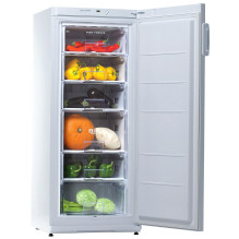 Freezer SNAIGE F 22SM-T1000E1
