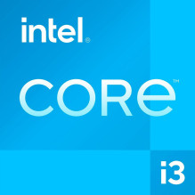 Intel CPU Desktop Core i3-14100 (iki 4,70 GHz, 12M talpyklos, LGA1700) dėklas