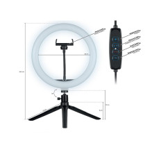 Tracer 46747 LED žiedinė lempa 26cm