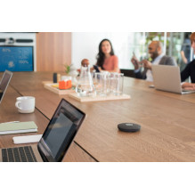 Logitech Rally Mic Pod