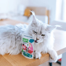 ANIMAL ISLAND Chicken / Beef Fillets in broth - wet cat food - 80x85g