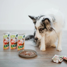 ANIMAL ISLAND Beef Fillets in broth - wet dog food - 10x150g