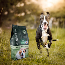 ADDVENA Taste Sensations Adult Medium / Large Turkey - dry dog food - 10kg