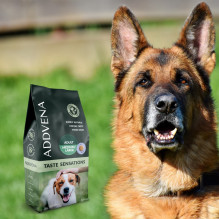 ADDVENA Taste Sensations Adult Medium / Large Turkey - dry dog food - 10kg