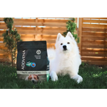ADDVENA Taste Sensations suaugusių vidutinio / didelio dydžio šunų sausas ėdalas kalakutienai, 10 kg ADDVENA Taste Sensations suaugusių vidutinio / didelio dydžio šunų sausas ėdalas kalakutienai, 10 kg