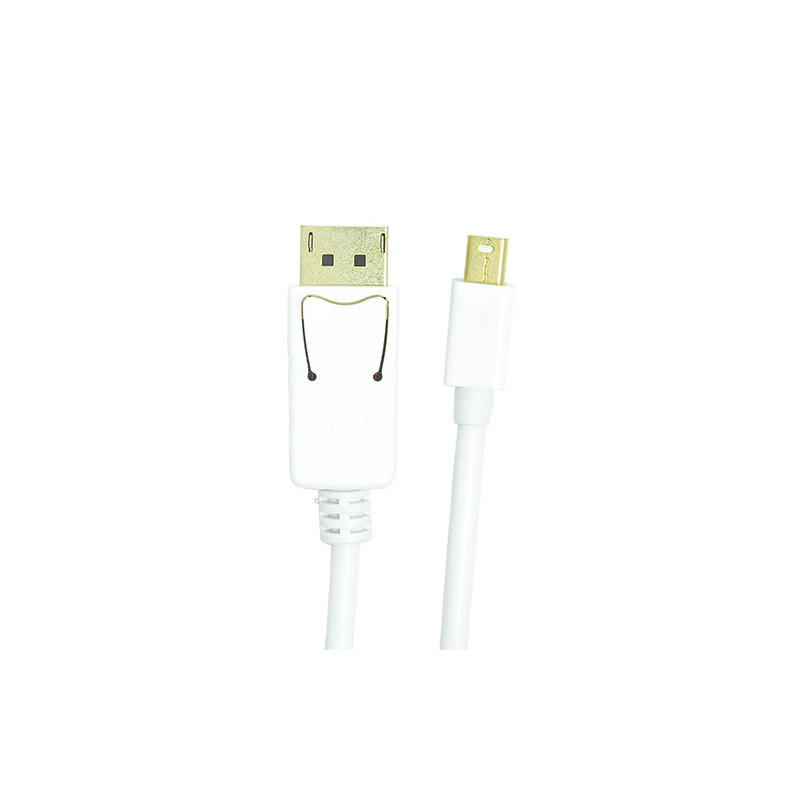 Cable mini DisplayPort - DisplayPort, 1m