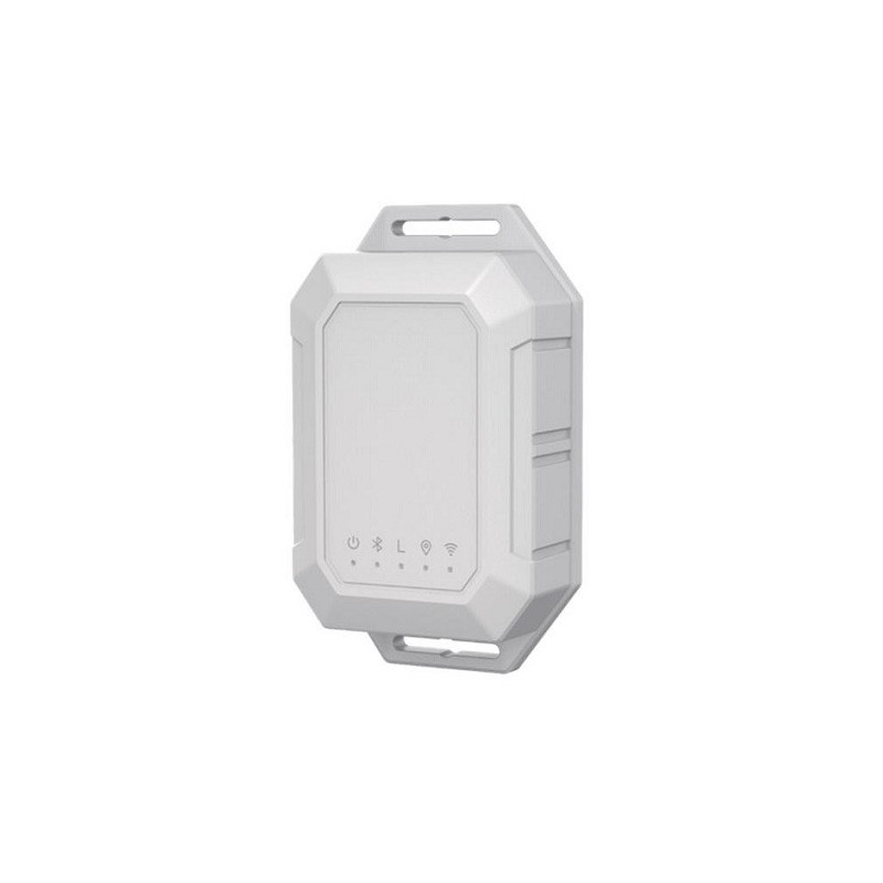 GPS sekimo įrenginys, LoRaWan tinkle